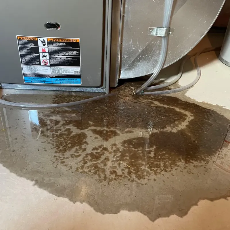 Appliance Leak Cleanup in Murray, KY