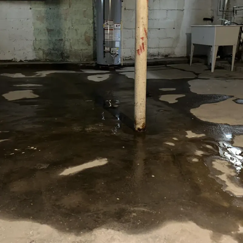 Emergency Water Extraction And Removal in Murray, KY